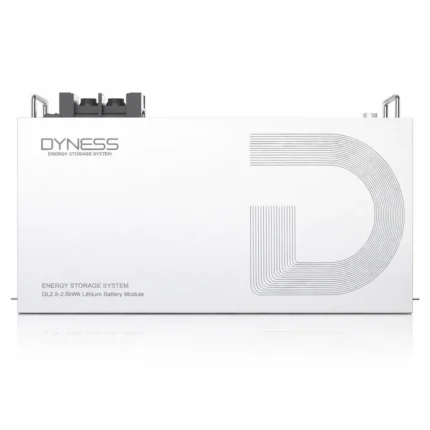 Dyness DL2.5 2.56kWh 25.6V 100Ah lithium battery