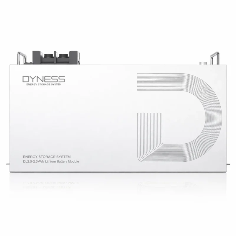 Dyness DL2.5 2.56kWh 25.6V 100Ah lithium battery