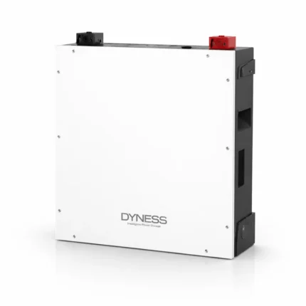 Dyness DL5.0C 5.12kWh 51.2V 100Ah Lithium Battery