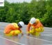 do-solar-panels-work-on-cloudy-or-rainy-days