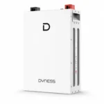 Dyness DL5.0F 5.12kWh 51.2V 100Ah LiFePO₄ Lithium Battery