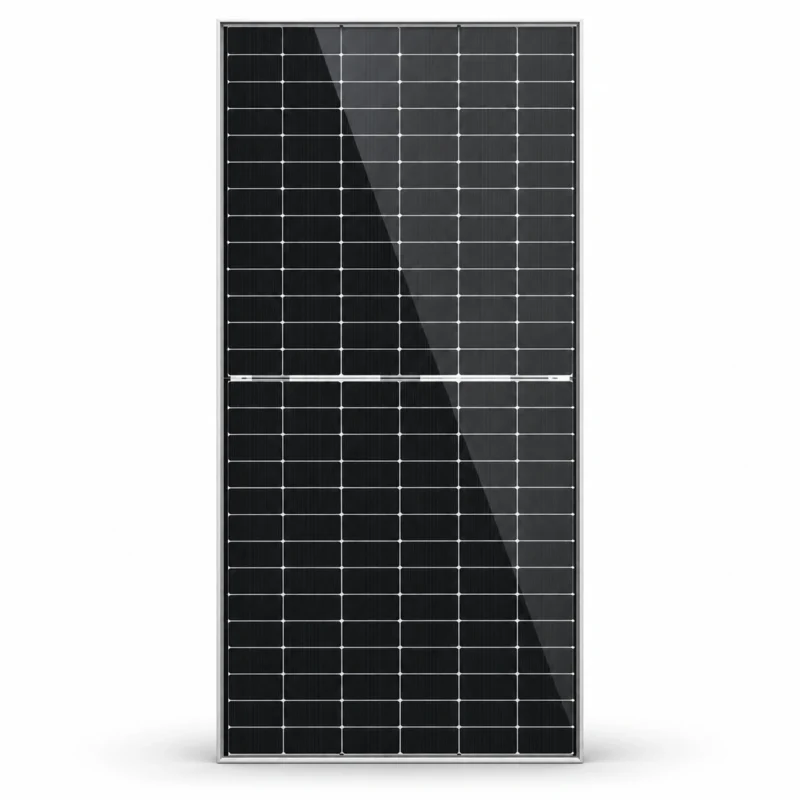 LONGi 620W Bifacial Solar Panel