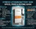 Dyness Lithium Battery 5kW