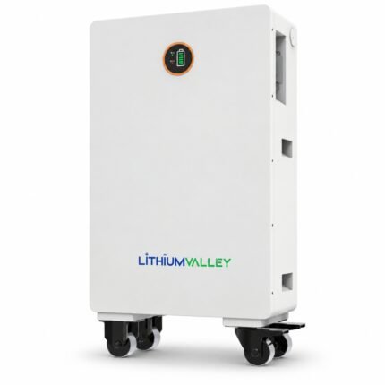 Lithium Valley 10.24KWh 51.2V 200Ah Lithium Battery W10-5A
