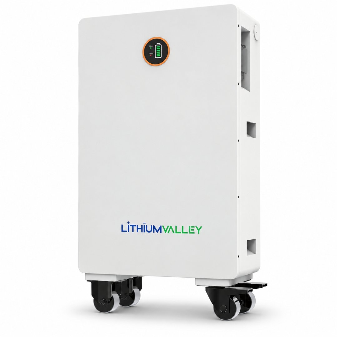Lithium Valley 10.24KWh 51.2V 200Ah Lithium Battery Lithium Valley 10.24KWh 51.2V 200Ah Lithium Battery W10-5A