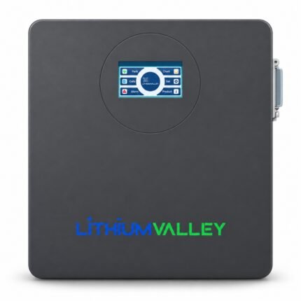 Lithium Valley 2.56KWh 25.6V 100Ah Lithium Battery