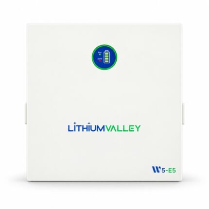 Lithium Valley 5.12KWh 51.2V 100Ah W5-E5 Lithium Battery