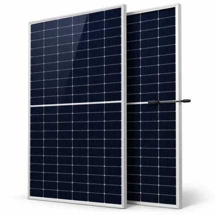 ReneSola 585W N-Type Bifacial Solar Panel