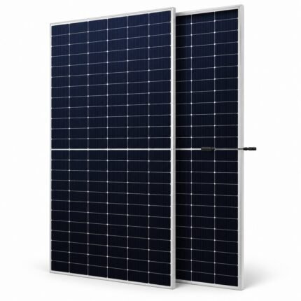 ReneSola RS6-585NBG-E3 585W N-Type bifacial dual-glass solar panel