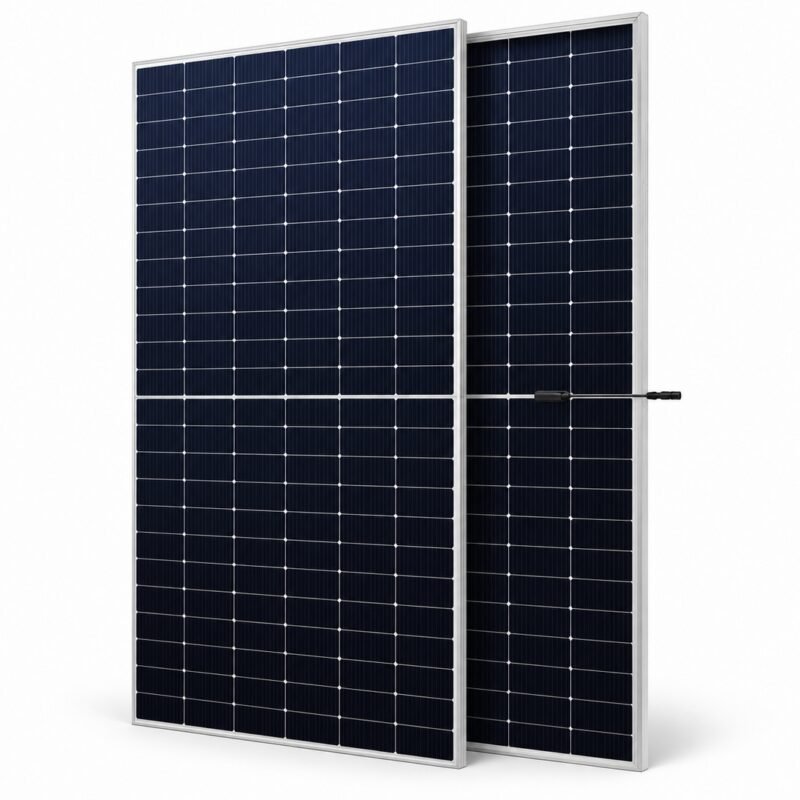ReneSola RS6-585NBG-E3 585W N-Type bifacial dual-glass solar panel