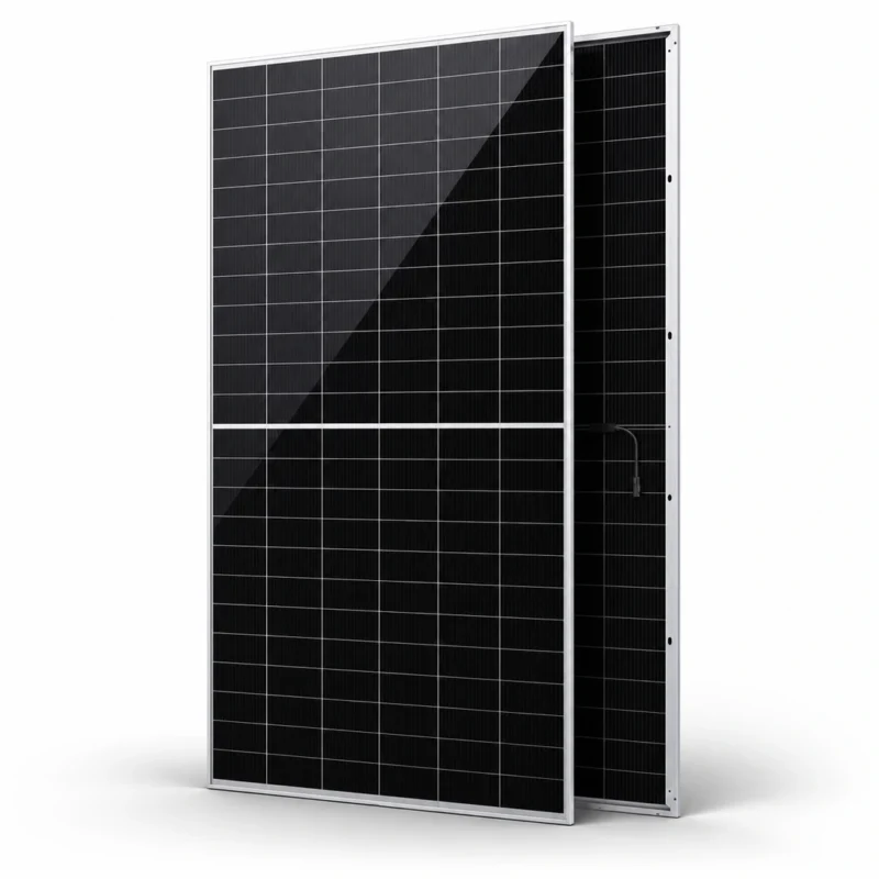 Cora Dawn 610W N-Type BC bifacial solar panel